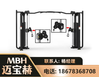 上海大飞鸟训练器