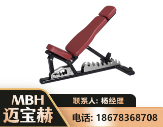 上海可调哑铃椅
